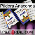 Píldora Anaconda 12